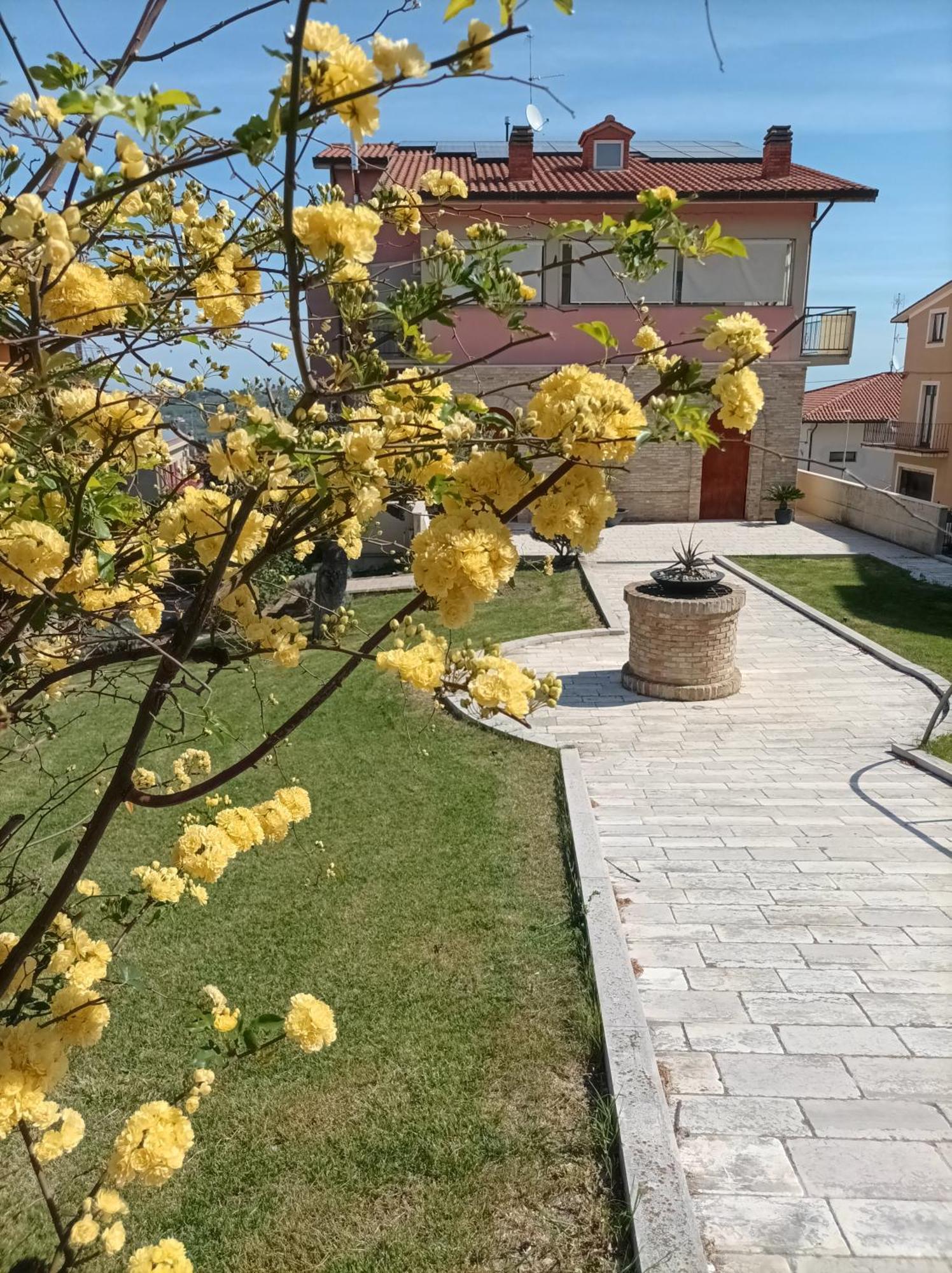 Villa Istonia Cupello Екстер'єр фото