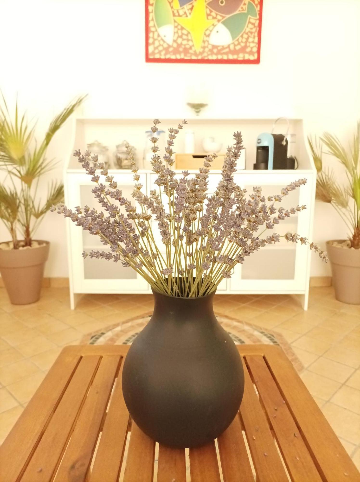 Villa Istonia Cupello Екстер'єр фото